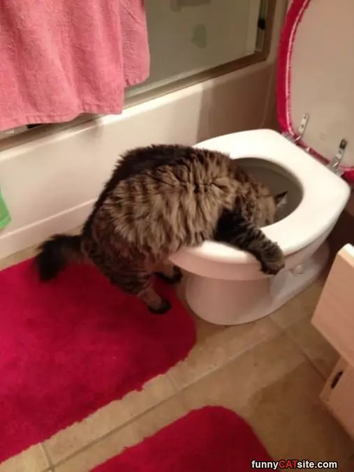 I Am Soooo Thirsty