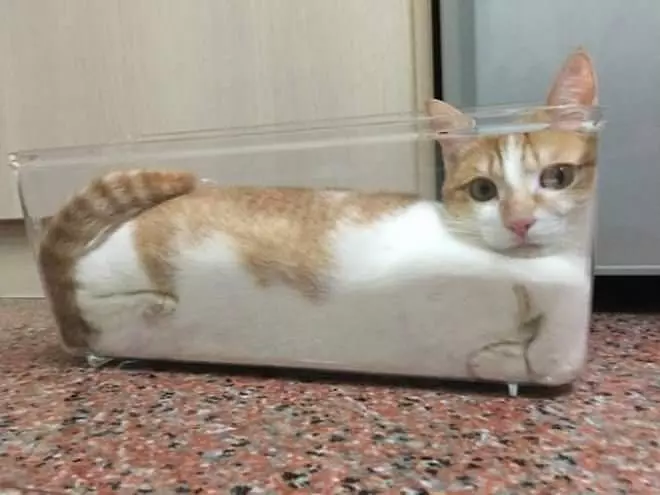 Melting In The Bucket
