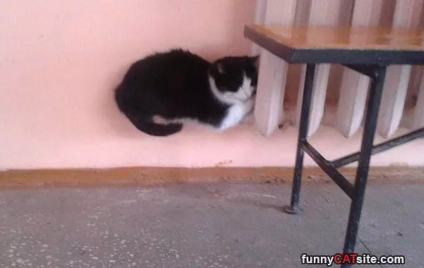 Warm Spot