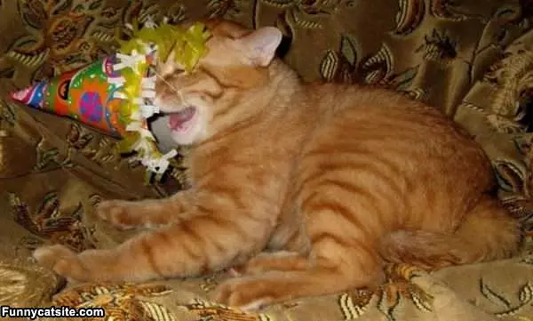 Its Not My Birthday