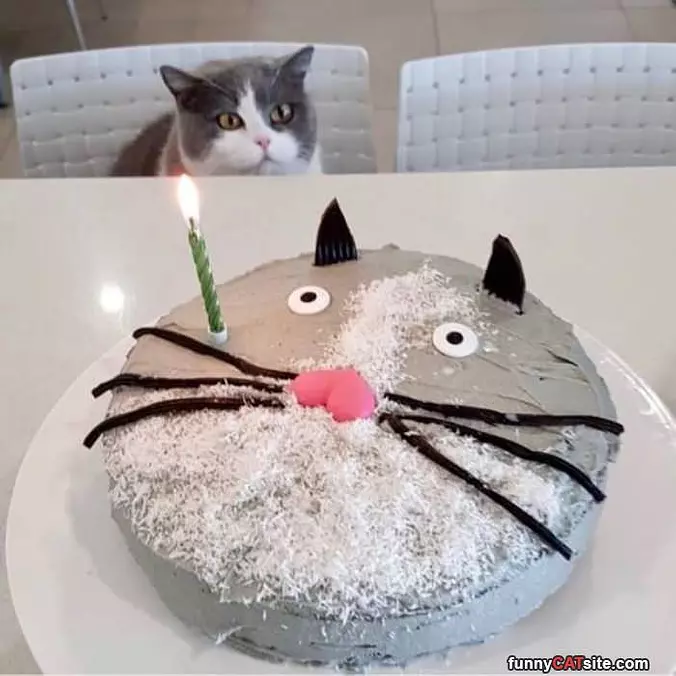 It Is My Birthday