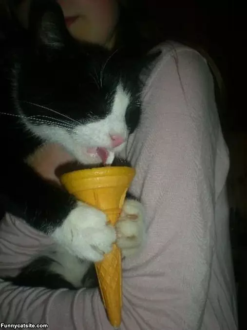 I Loves The Ice Cream