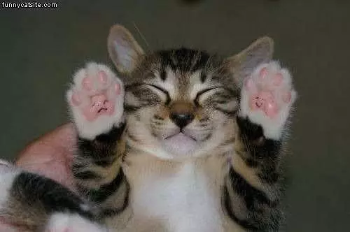 Hands Up