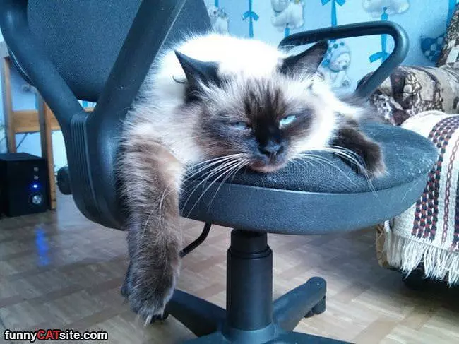 Hanging In My Chair