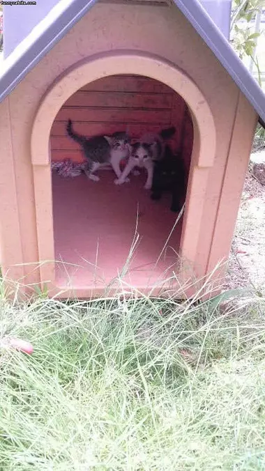 All Hiding Out