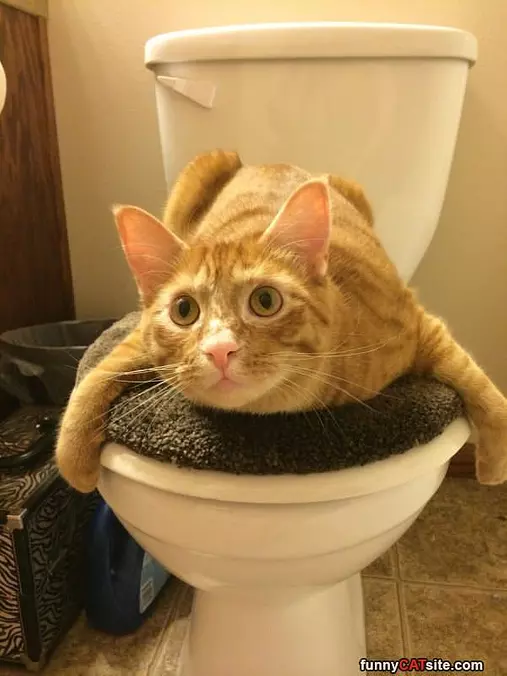 No Pooping Right Now