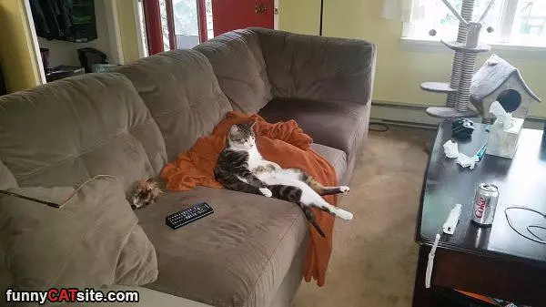 Watching Some Tv
