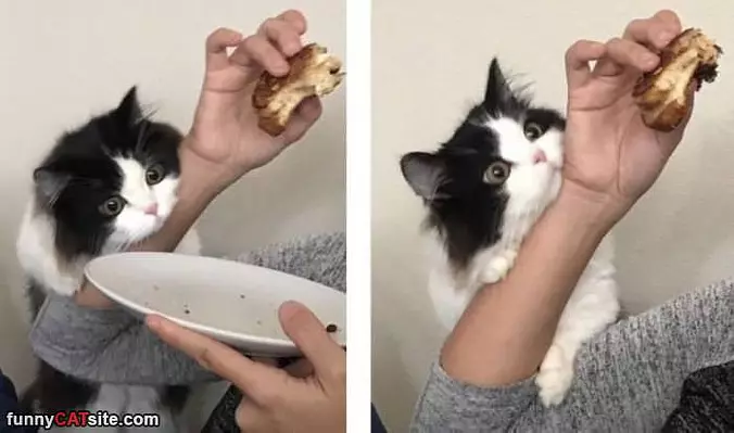 Give Me Dat