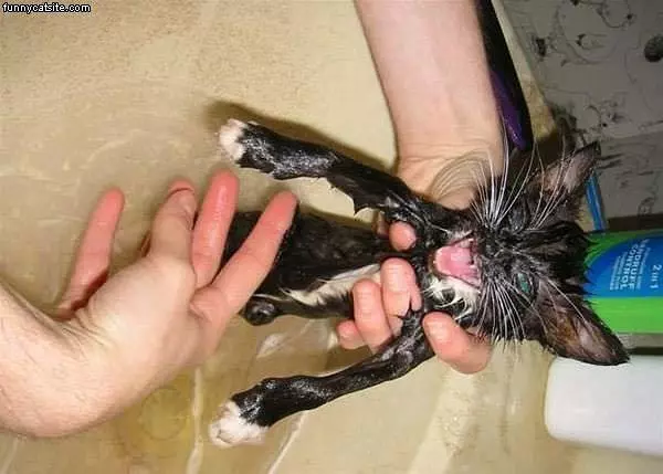Soapy And Happy