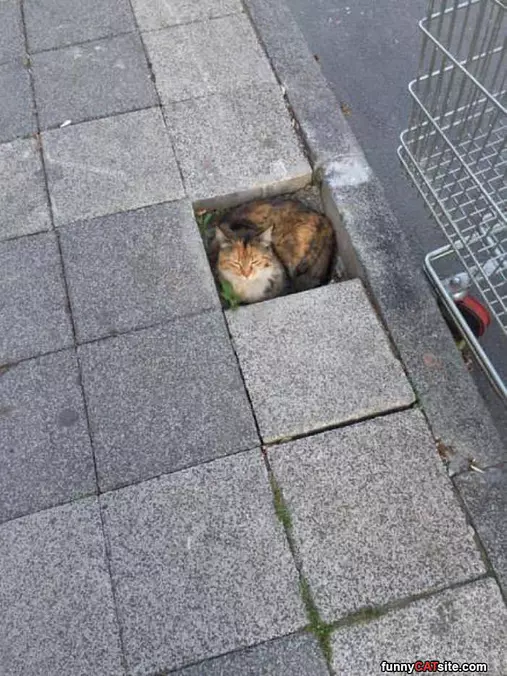 Found A Bed