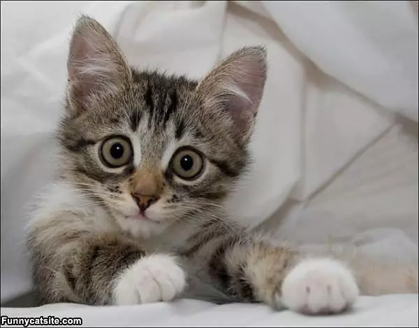 Hi There