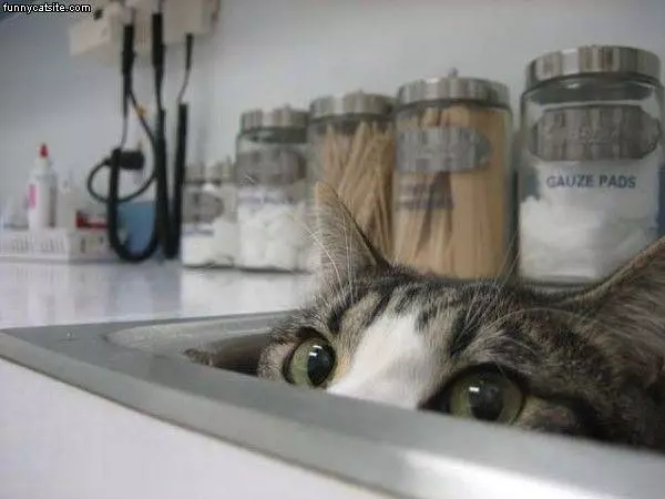 Peeking