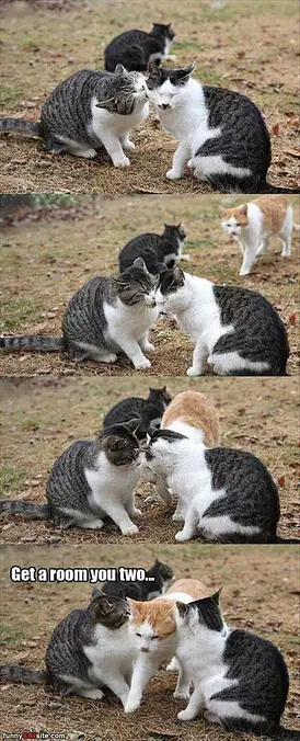Go Get A Room