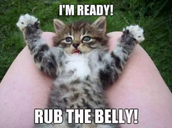 I Am Ready