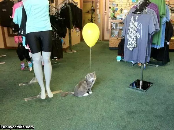 I Has A Balloon
