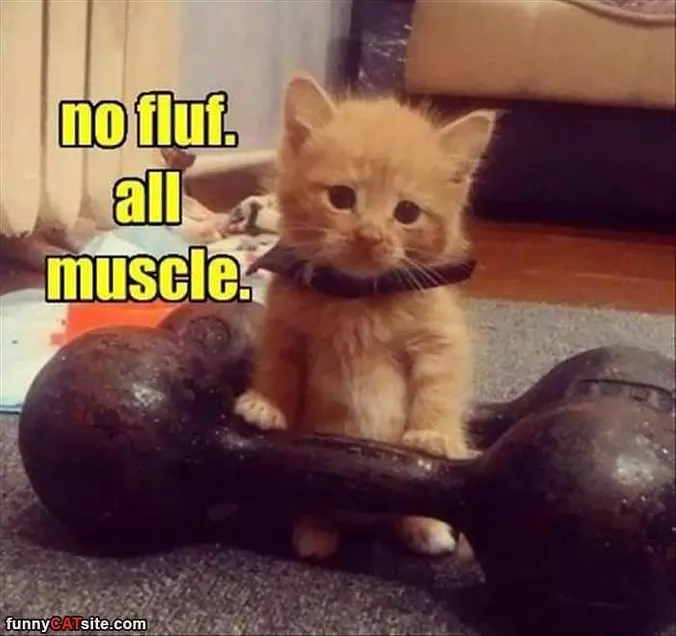 No Fluff