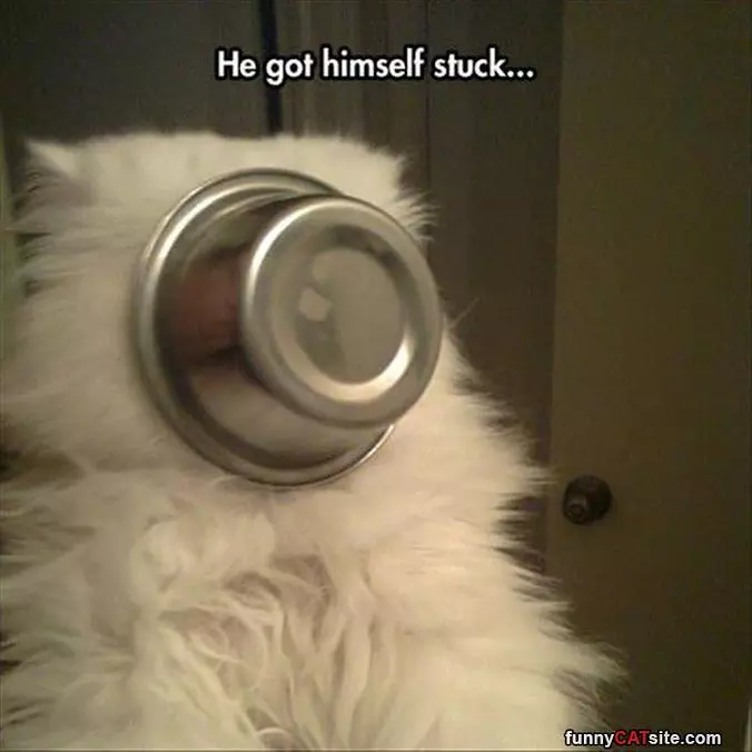 Got Stuck