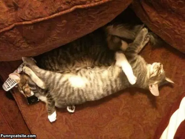 Super Relaxed