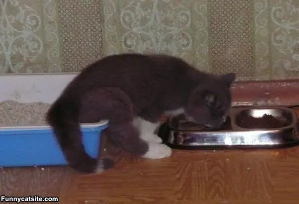 Multi Tasking