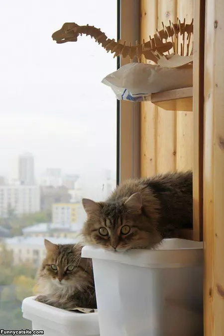 We See You