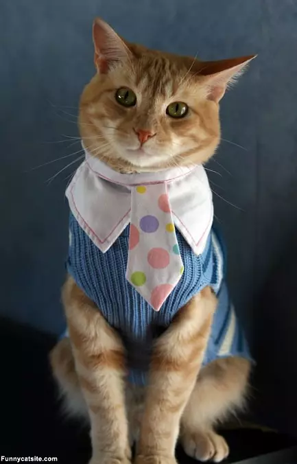 Hello Sir