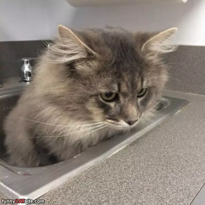 Sitting In My Sink