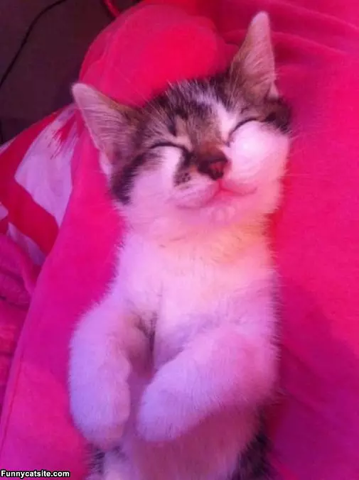 Smiley Dreams