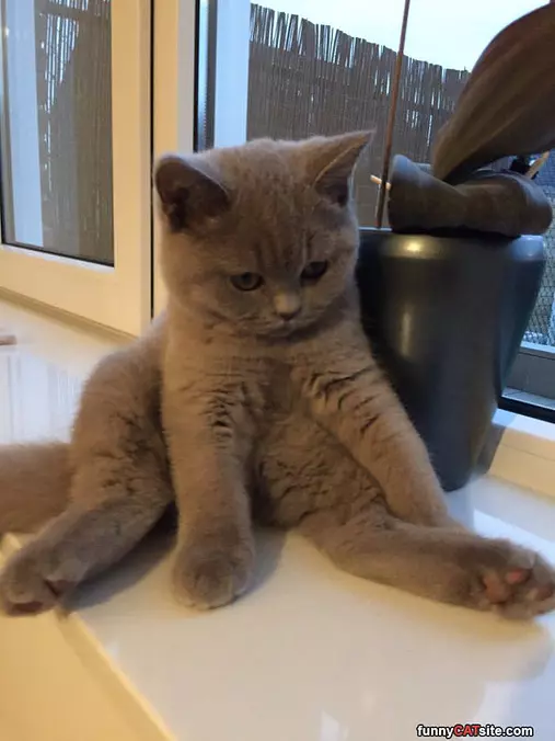 All Worn Out