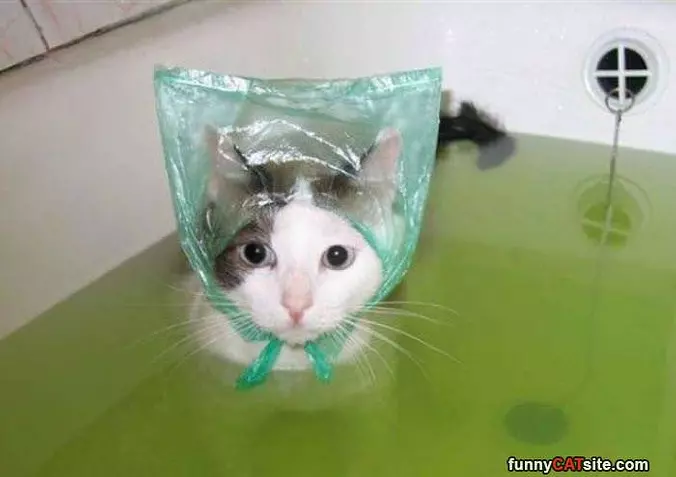 Keeping My Ears Dry