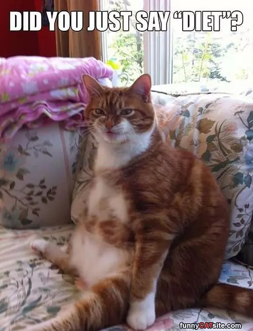 No Diets
