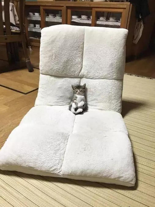 Finally Space To Relax