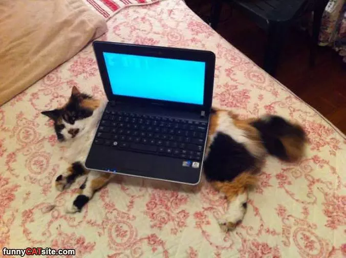 I Am Not A Table