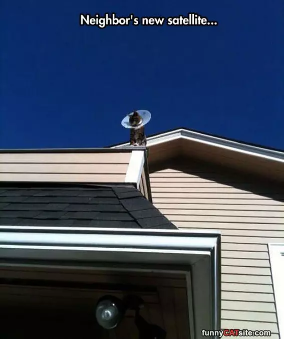 New Satellite