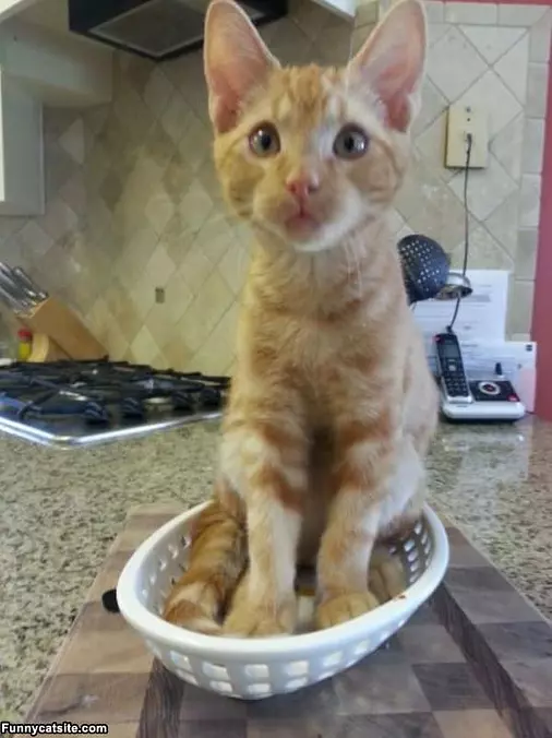 Small Basket