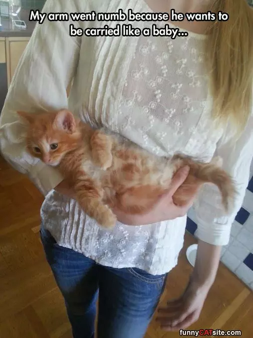 Getting Carried All Day