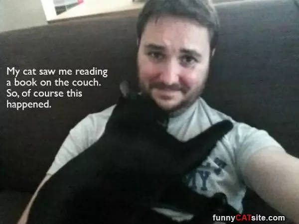 Reading A Book
