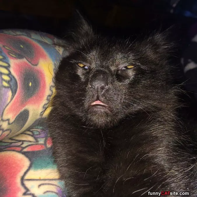 Do Not Wake Me