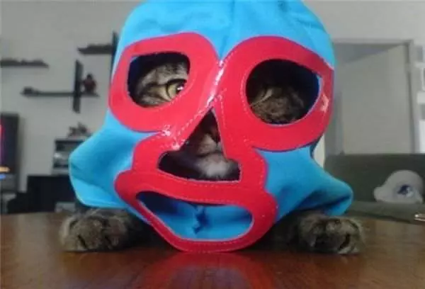 Super Cat