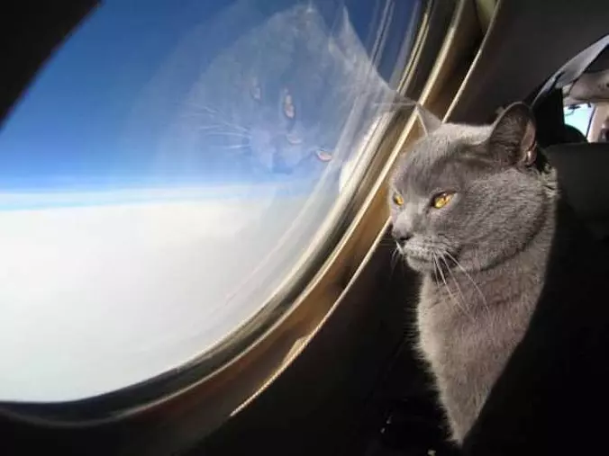I Want The Window Seat