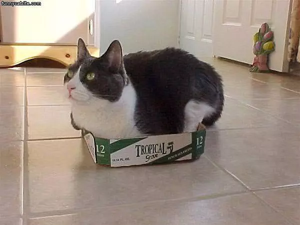 Small Box