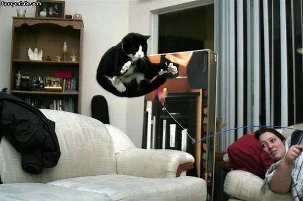 Fatty Can Fly