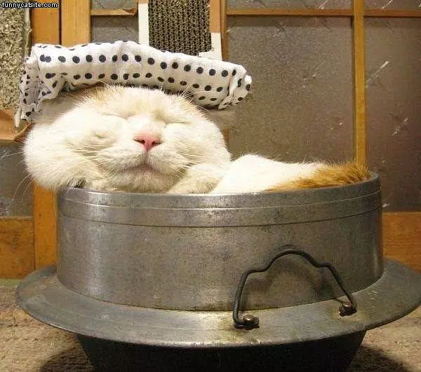 Long Day