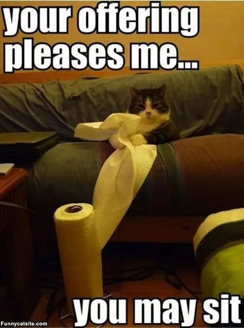 Your Offering Pleases Me