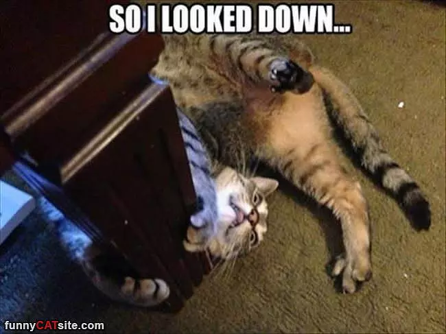 So I Looked Down