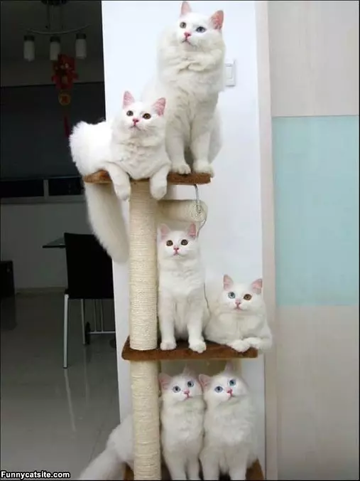 All Stacked Up Here