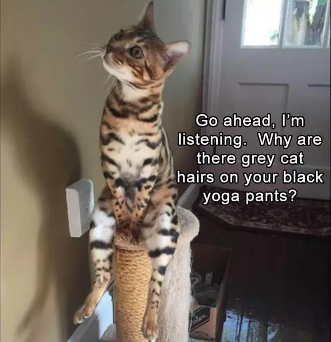 Go Ahead I Am Listening