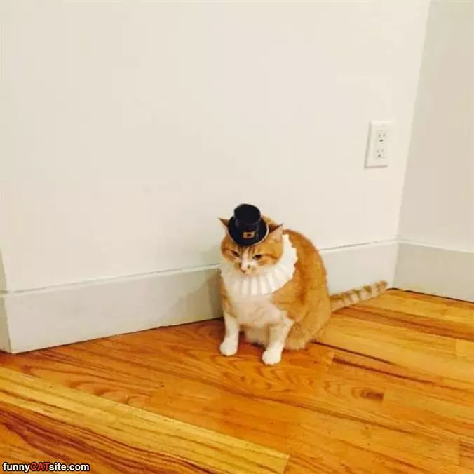 Cool Hat