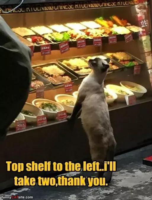 Top Shelf I Will Take 2