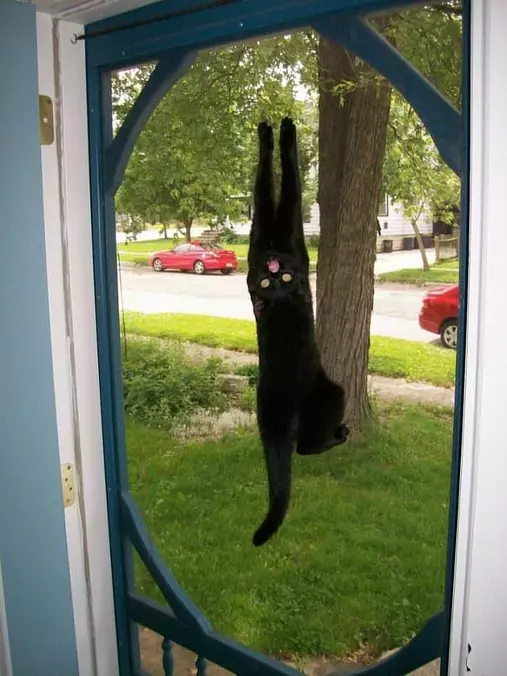 I Like To Climb