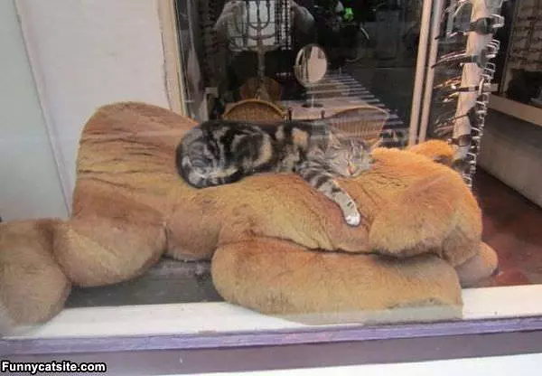 Very Comfortable